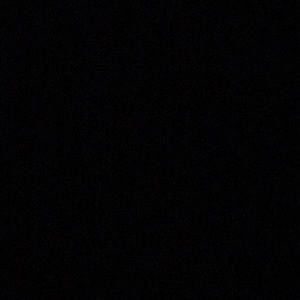 Meet your Posher, Alondra